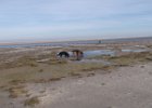 vakantie Ameland 035